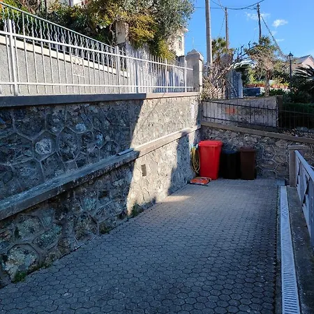 Le Orchidee Gia Lancillotto *