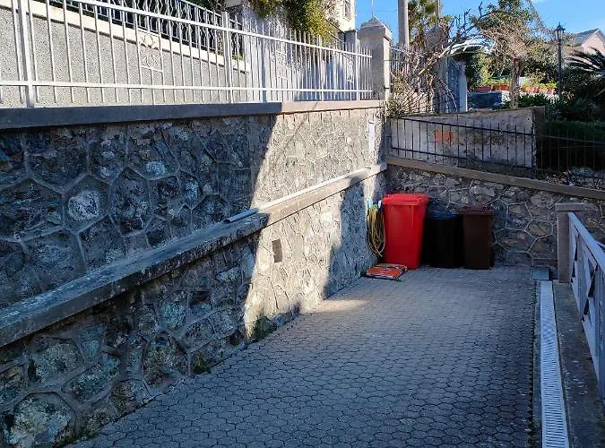 Le Orchidee Gia Lancillotto *